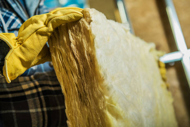 Best Insulation Installation Services in Big Sandy, TX